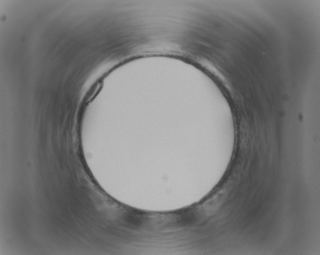 X0000062901469200602101754