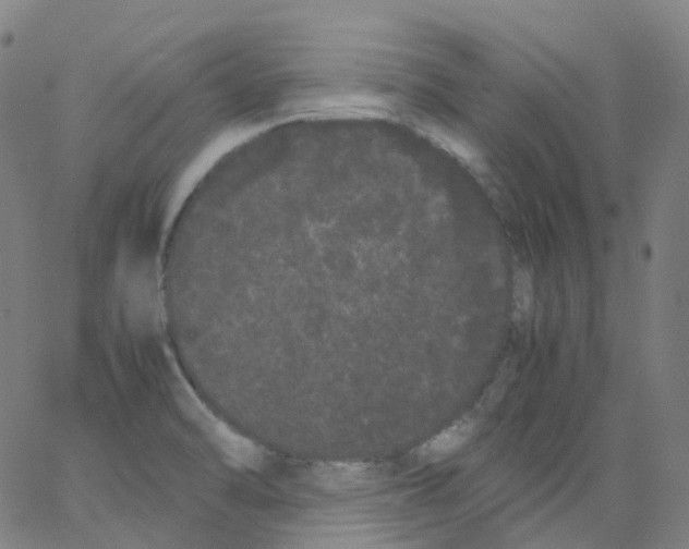 X0000062901470200602101754