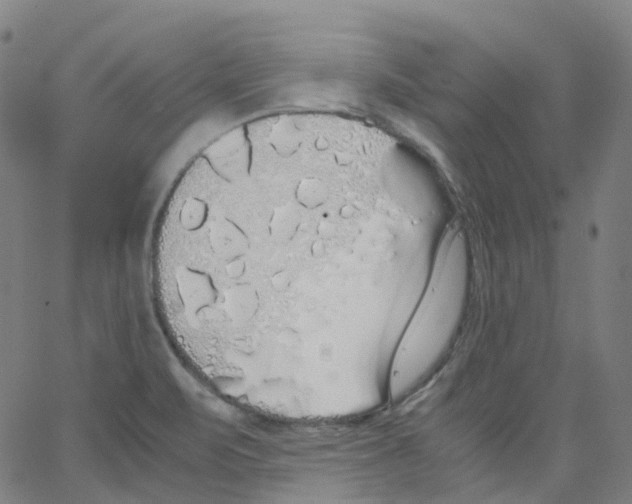 X0000062901471200602101754