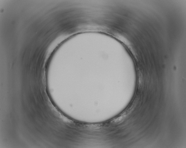 X0000062901472200602101754