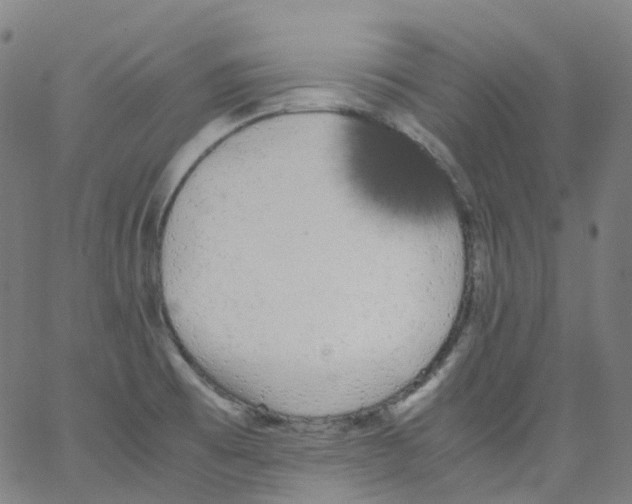 X0000062901473200602101754