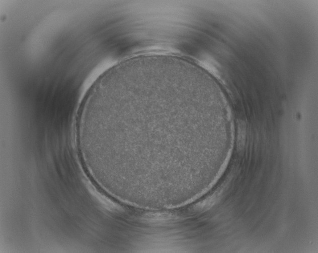 X0000062901474200602101754