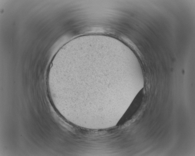 X0000062901475200602101754