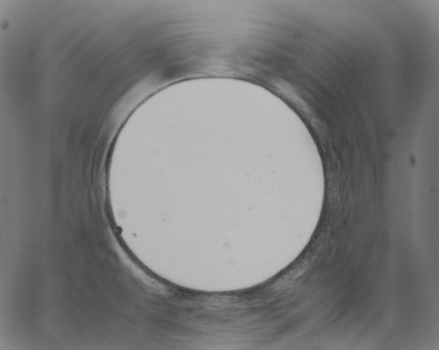 X0000062901479200602101754