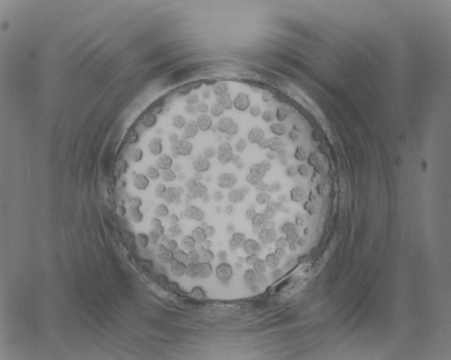 X0000062901481200602101754