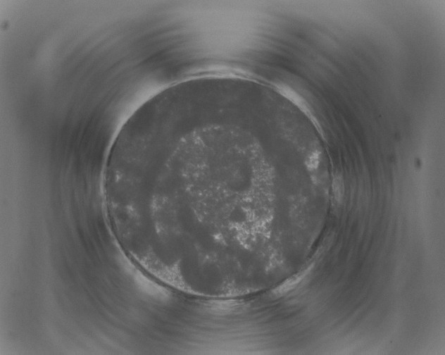 X0000062901482200602101754