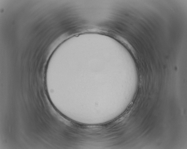 X0000062901483200602101754