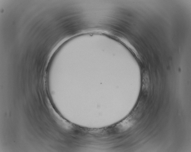 X0000062901484200602101754