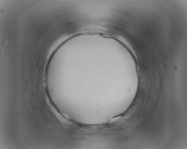 X0000062901485200602101754