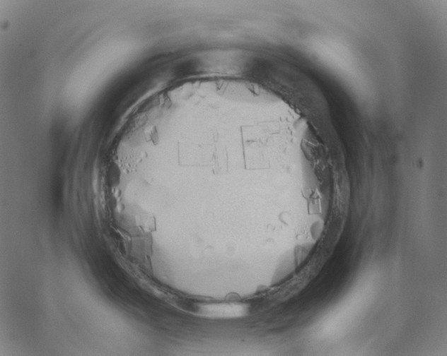 X0000062901487200602101754