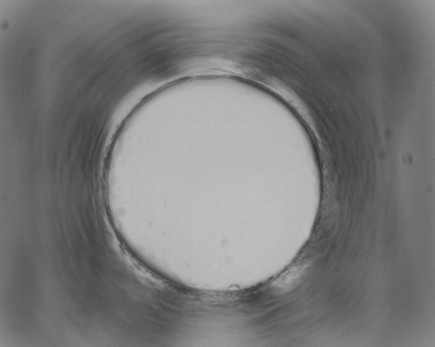 X0000062901488200602101754