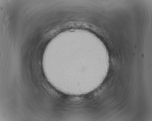 X0000062901489200602101753