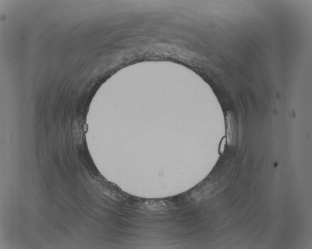 X0000062901491200602101753