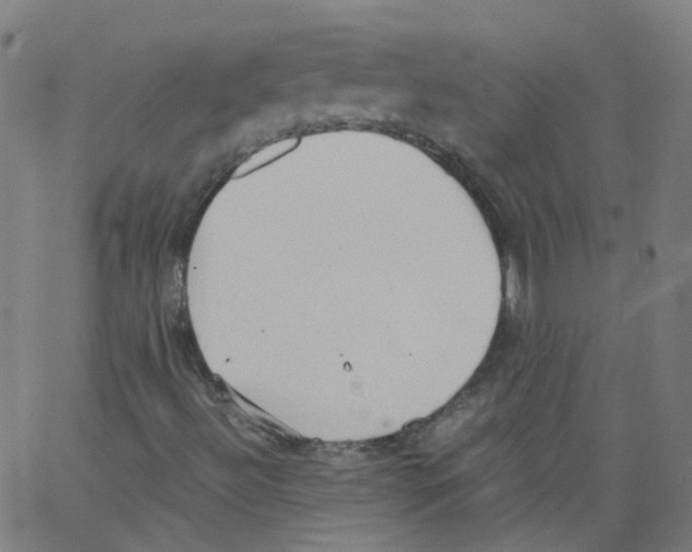 X0000062901492200602101753