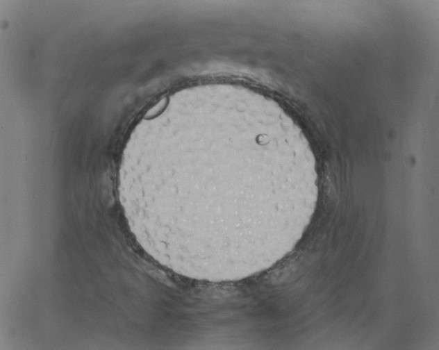 X0000062901493200602101753