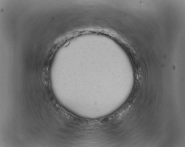 X0000062901494200602101753