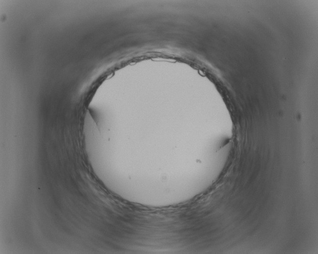 X0000062901496200602101753