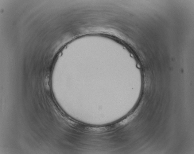 X0000062901497200602101753