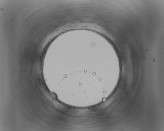 X0000062901498200602101753