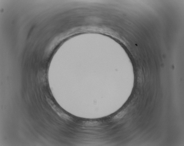 X0000062901499200602101753