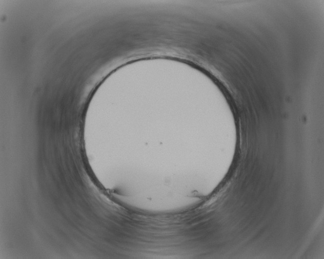 X0000062901500200602101753