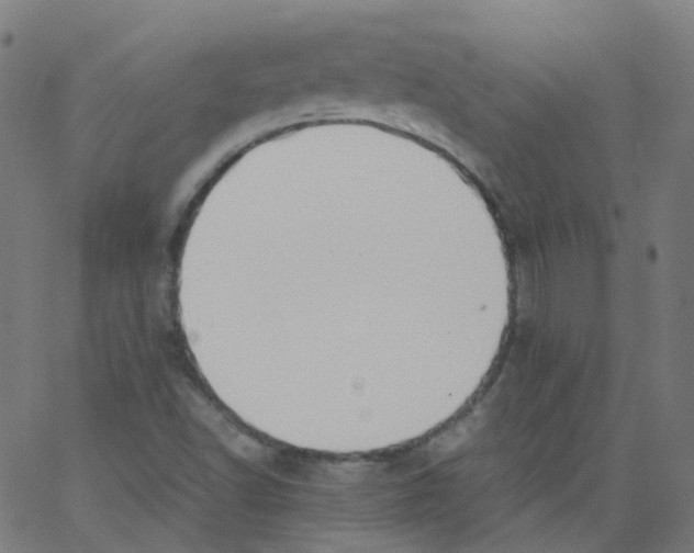 X0000062901502200602101753