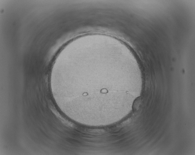 X0000062901503200602101754