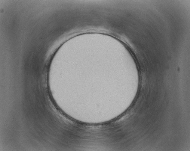 X0000062901504200602101754