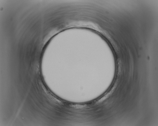 X0000062901505200602101754