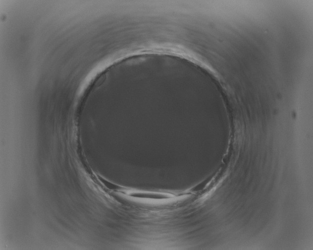 X0000062901506200602101754