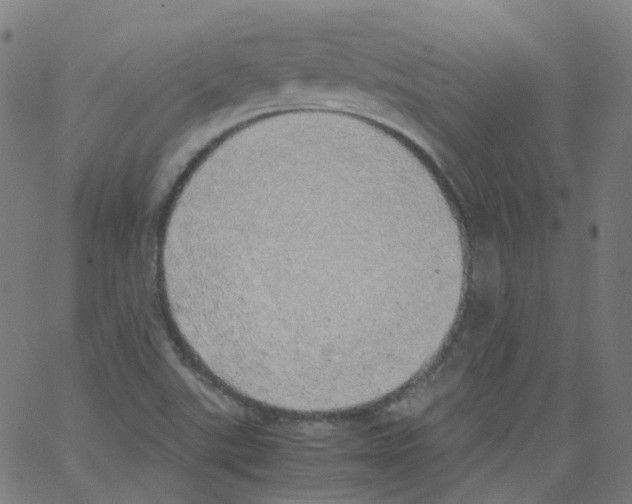 X0000062901507200602101754