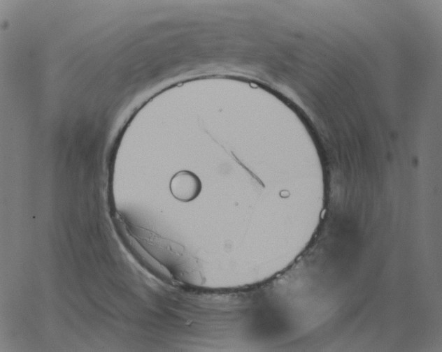 X0000062901508200602101754