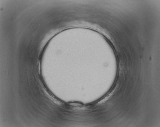 X0000062901509200602101754