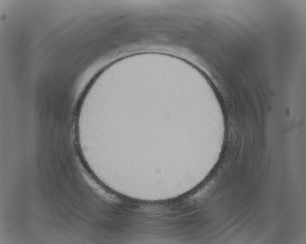 X0000062901511200602101754