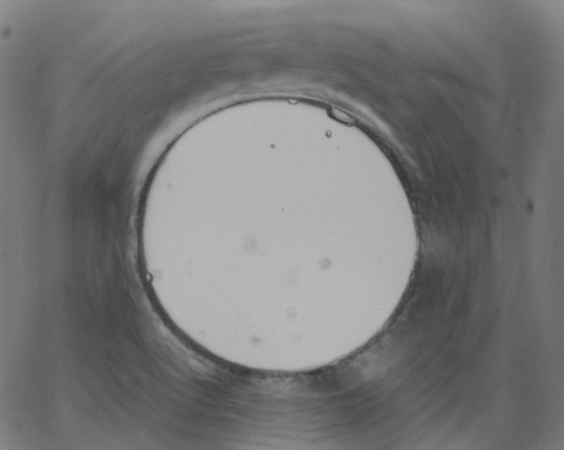 X0000062901512200602101754