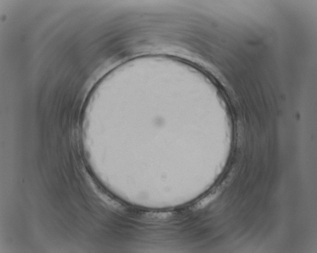 X0000062901513200602101754