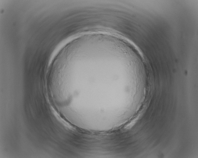 X0000062901514200602101754