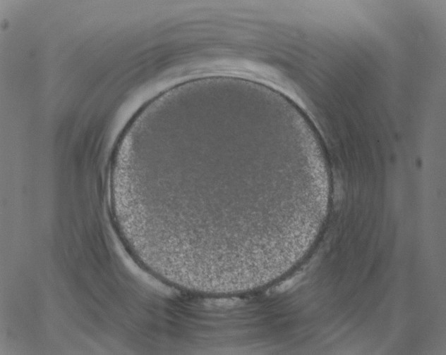 X0000062901515200602101754