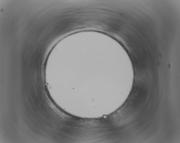 X0000062901516200602101754