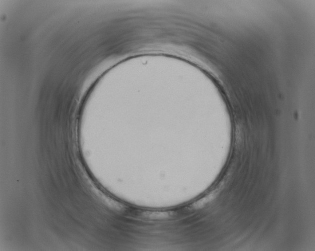 X0000062901517200602101754