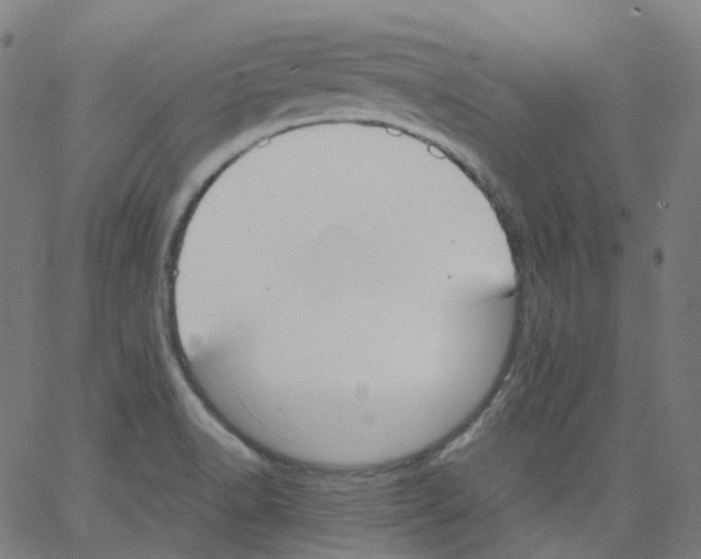 X0000062901518200602101754