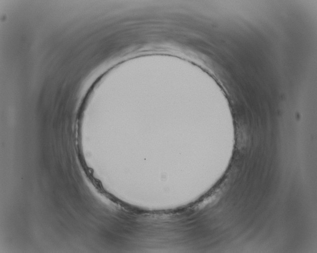 X0000062901519200602101754