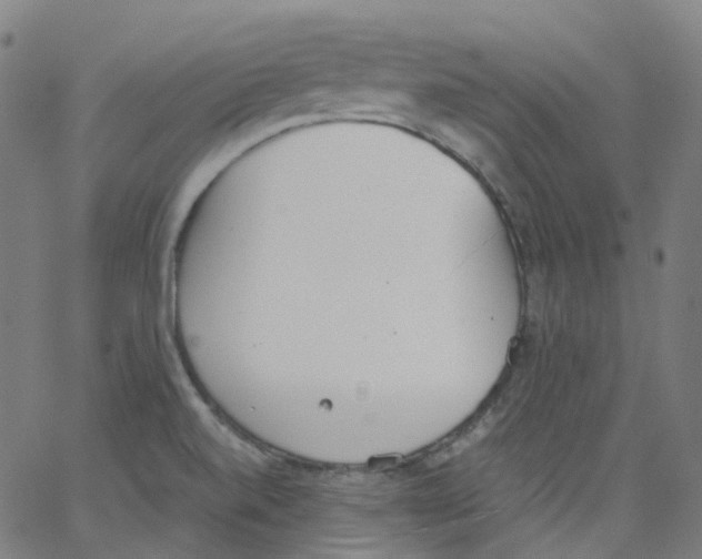 X0000062901520200602101754