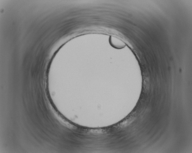 X0000062901523200602101754