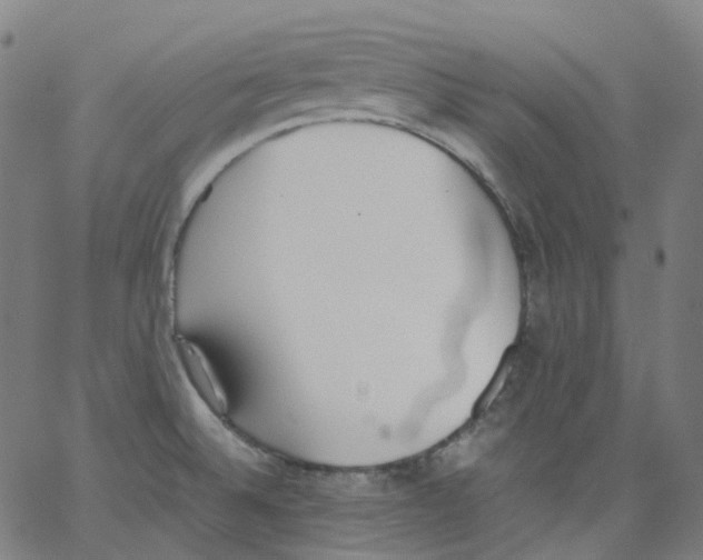 X0000062901524200602101754