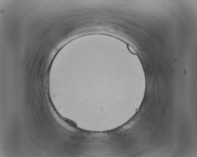 X0000062901526200602101754