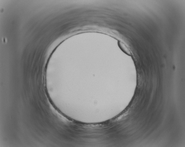 X0000062901527200602101754