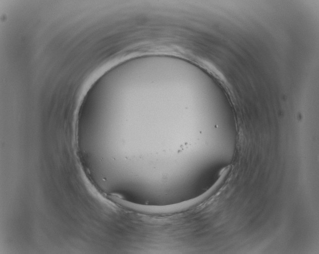 X0000062901528200602101754