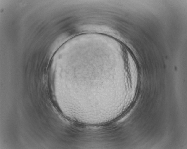 X0000062901529200602101754