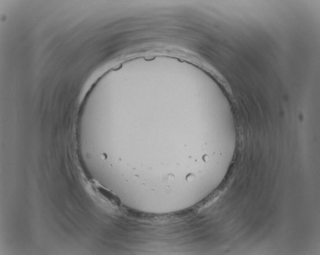 X0000062901530200602101754